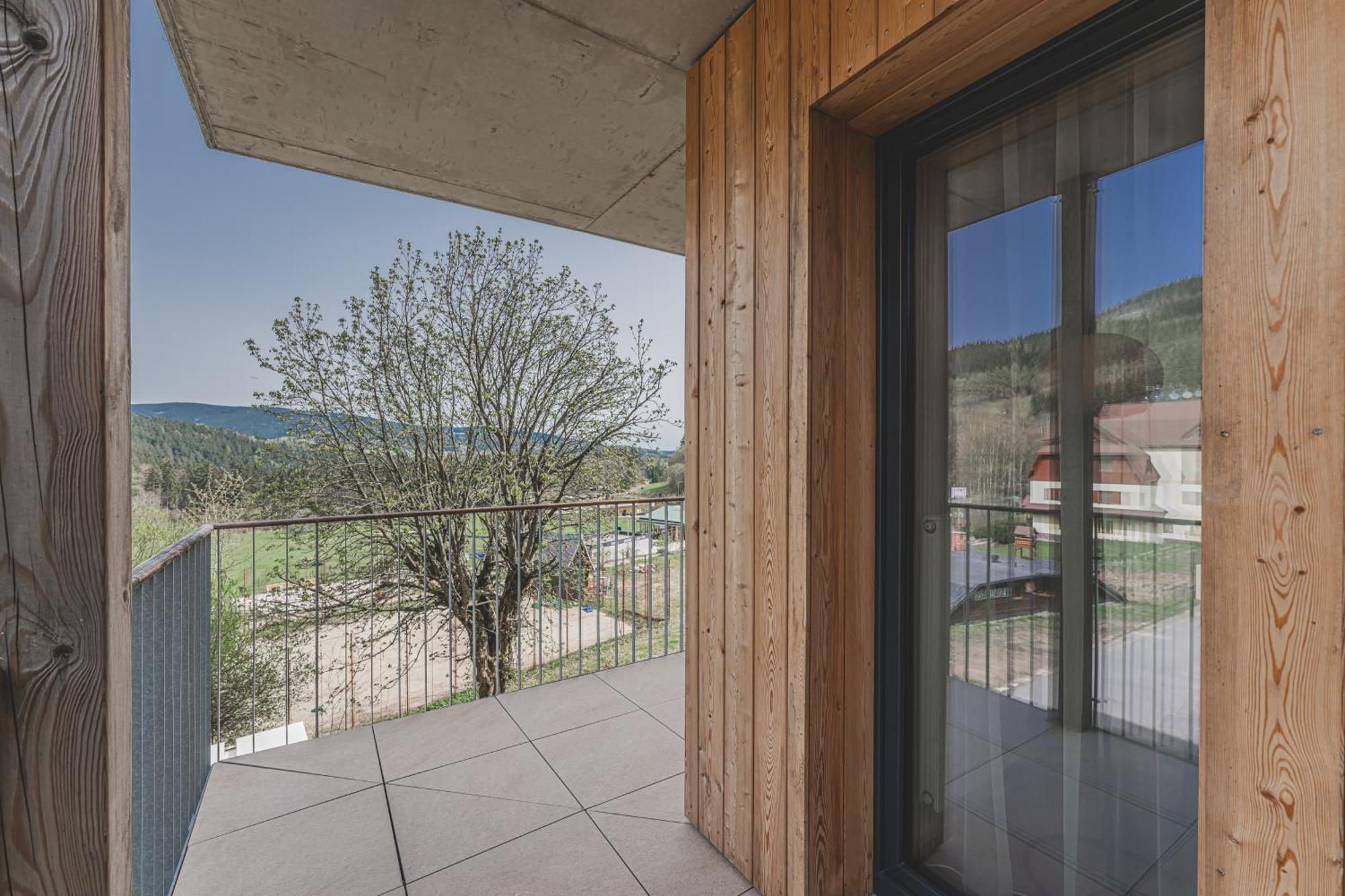 Apartment Luxusni *